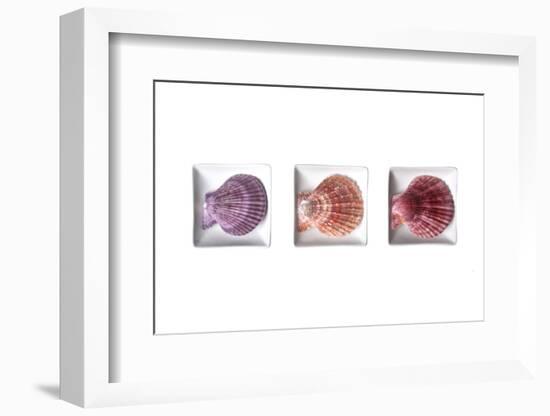 Conches-Uwe Merkel-Framed Photographic Print