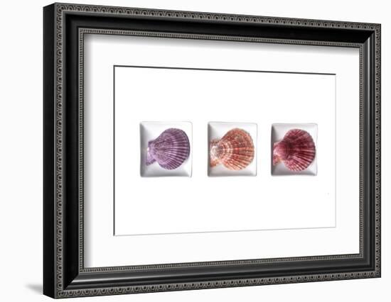 Conches-Uwe Merkel-Framed Photographic Print