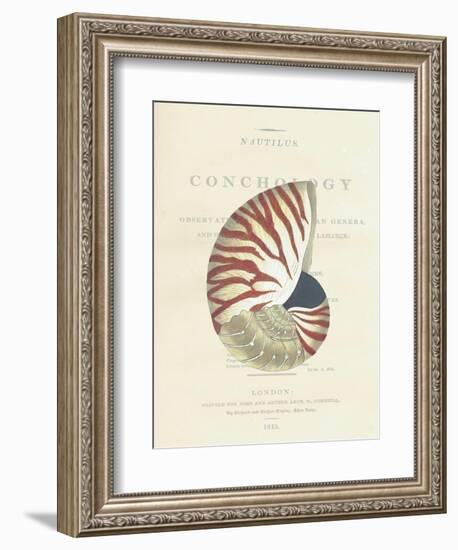 Conchology Nautilus-Porter Design-Framed Giclee Print