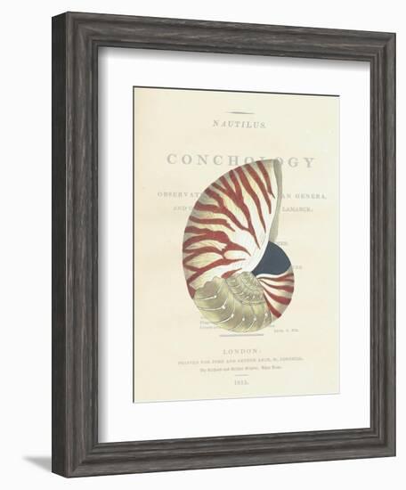 Conchology Nautilus-Porter Design-Framed Giclee Print