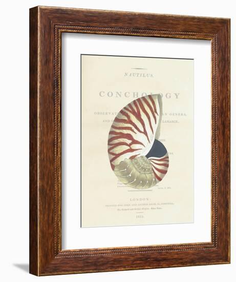 Conchology Nautilus-Porter Design-Framed Giclee Print