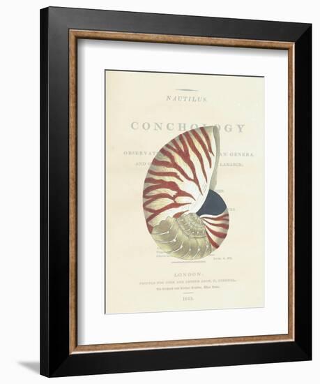 Conchology Nautilus-Porter Design-Framed Giclee Print