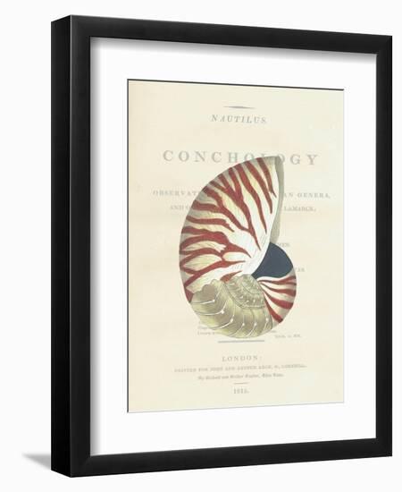 Conchology Nautilus-Porter Design-Framed Giclee Print