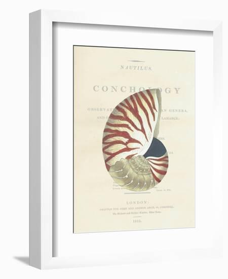 Conchology Nautilus-Porter Design-Framed Giclee Print