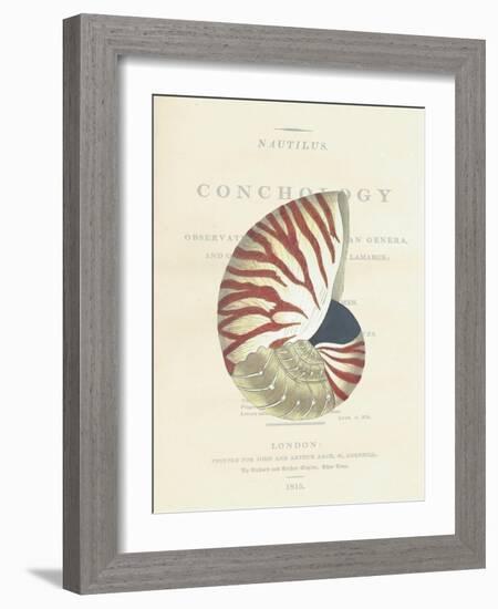 Conchology Nautilus-Porter Design-Framed Giclee Print