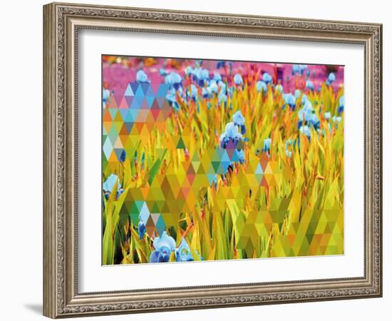 Conciousness-Natasha Wescoat-Framed Giclee Print