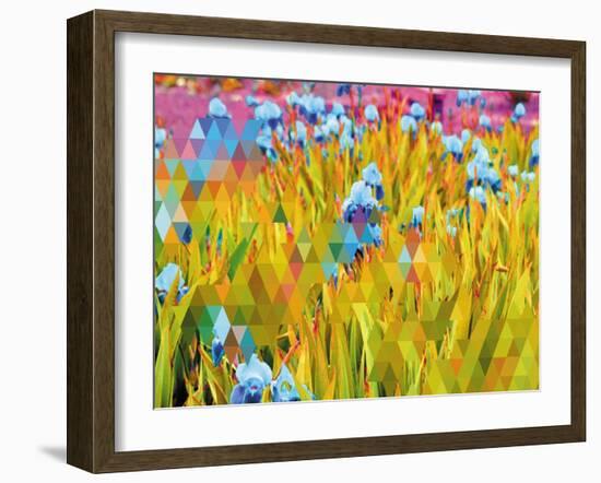 Conciousness-Natasha Wescoat-Framed Giclee Print