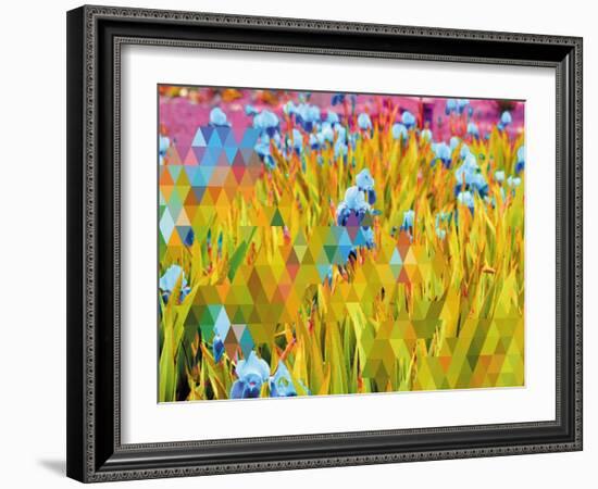 Conciousness-Natasha Wescoat-Framed Giclee Print