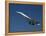 Concorde in Flight-Ian Griffiths-Framed Premier Image Canvas