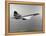 Concorde in Service-null-Framed Premier Image Canvas