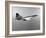 Concorde in Service-null-Framed Photographic Print