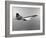 Concorde in Service-null-Framed Photographic Print