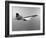 Concorde in Service-null-Framed Photographic Print