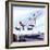 Concorde Landing in New York on 22 November 1977-John Keay-Framed Giclee Print