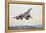 Concorde Supersonic Airliner Landing at Airport-null-Framed Premier Image Canvas