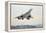 Concorde Supersonic Airliner Landing at Airport-null-Framed Premier Image Canvas