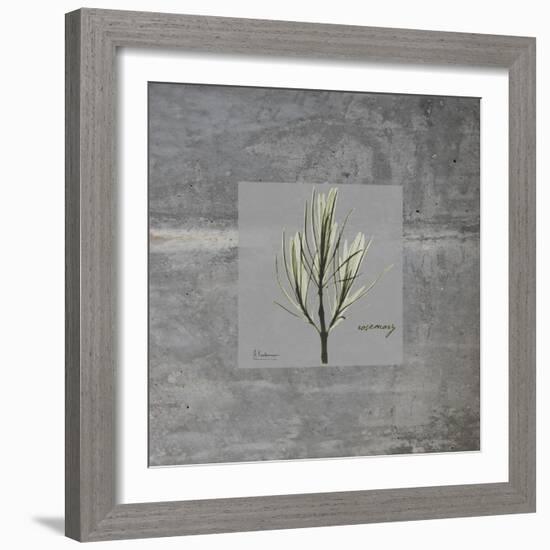 Concrete Rosemary-Albert Koetsier-Framed Art Print