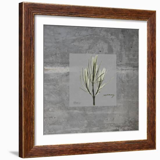 Concrete Rosemary-Albert Koetsier-Framed Art Print