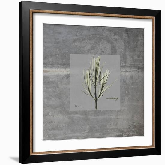 Concrete Rosemary-Albert Koetsier-Framed Art Print