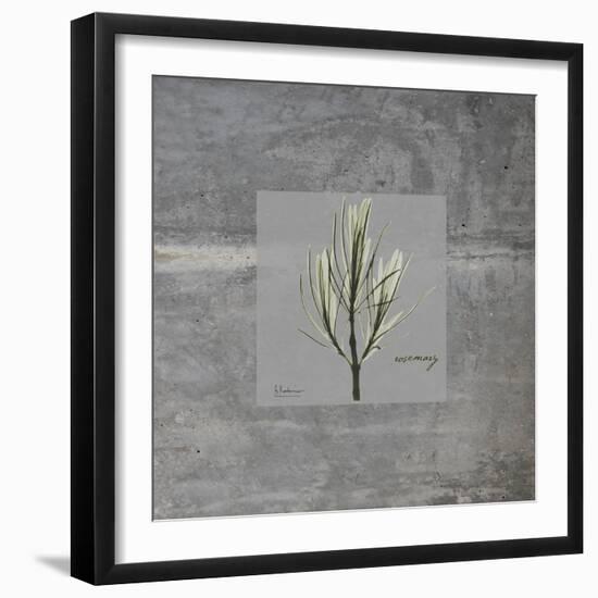 Concrete Rosemary-Albert Koetsier-Framed Art Print