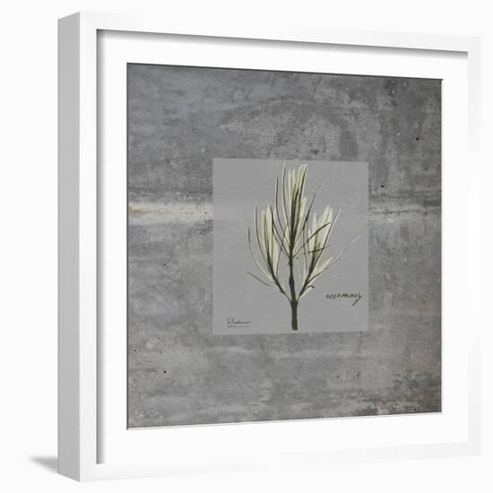 Concrete Rosemary-Albert Koetsier-Framed Art Print