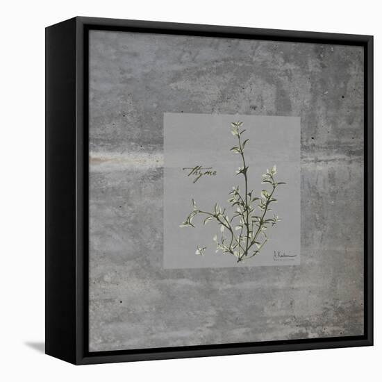 Concrete Thyme-Albert Koetsier-Framed Stretched Canvas