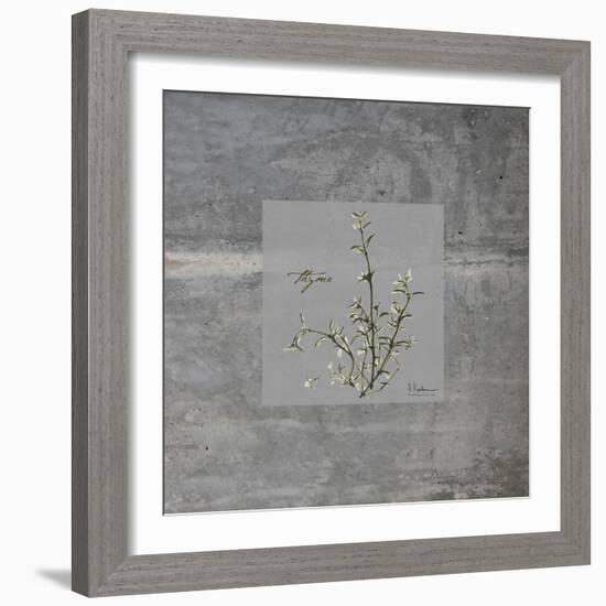 Concrete Thyme-Albert Koetsier-Framed Art Print