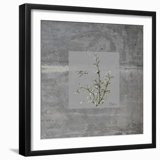 Concrete Thyme-Albert Koetsier-Framed Art Print