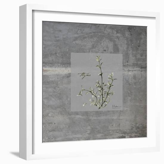Concrete Thyme-Albert Koetsier-Framed Art Print