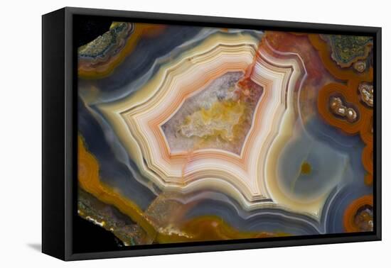 Condor Agate with Fortifcations-Darrell Gulin-Framed Premier Image Canvas