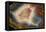 Condor Agate with Fortifcations-Darrell Gulin-Framed Premier Image Canvas