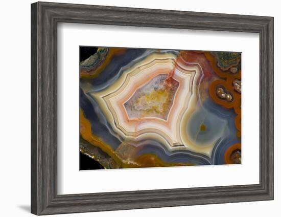 Condor Agate with Fortifcations-Darrell Gulin-Framed Photographic Print