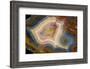 Condor Agate with Fortifcations-Darrell Gulin-Framed Photographic Print