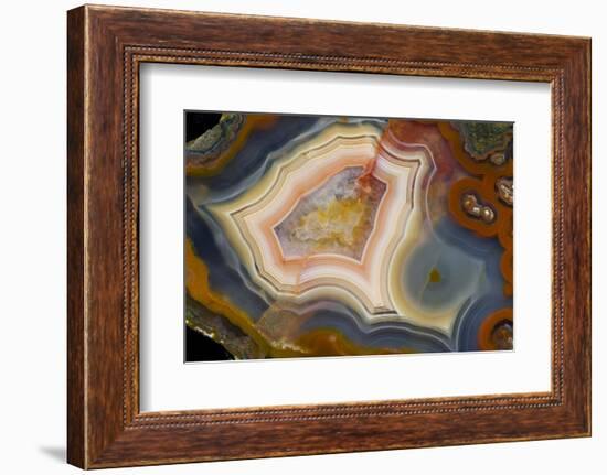 Condor Agate with Fortifcations-Darrell Gulin-Framed Photographic Print