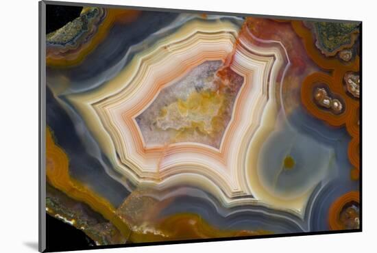 Condor Agate with Fortifcations-Darrell Gulin-Mounted Photographic Print