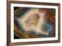 Condor Agate with Fortifcations-Darrell Gulin-Framed Photographic Print