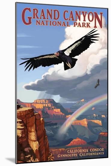 Condor and Rainbow - Grand Canyon National Park-Lantern Press-Mounted Art Print