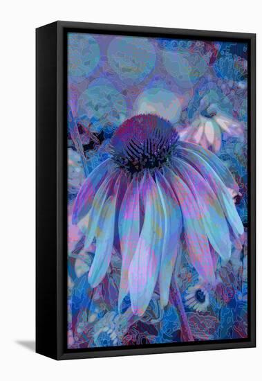 Cone Flower, Blue, Blue Flower, Echinacea-Scott J. Davis-Framed Premier Image Canvas