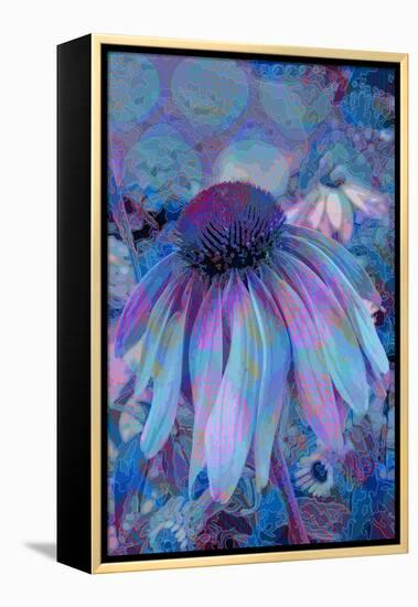 Cone Flower, Blue, Blue Flower, Echinacea-Scott J. Davis-Framed Premier Image Canvas