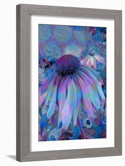 Cone Flower, Blue, Blue Flower, Echinacea-Scott J. Davis-Framed Giclee Print