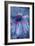 Cone Flower, Blue, Blue Flower, Echinacea-Scott J. Davis-Framed Giclee Print