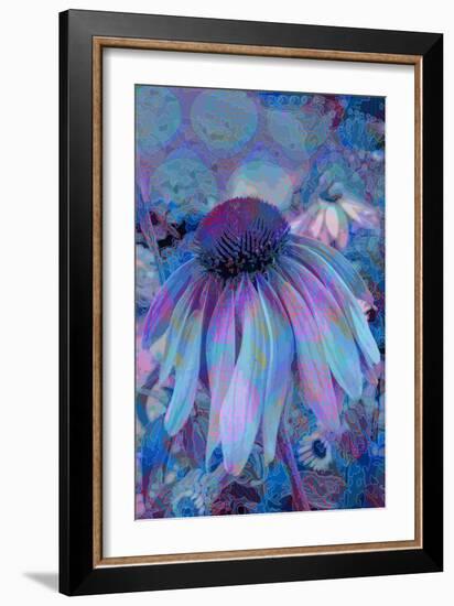 Cone Flower, Blue, Blue Flower, Echinacea-Scott J. Davis-Framed Giclee Print