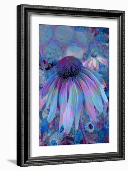 Cone Flower, Blue, Blue Flower, Echinacea-Scott J. Davis-Framed Giclee Print