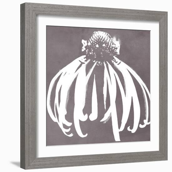 Cone Flower-Color Bakery-Framed Giclee Print