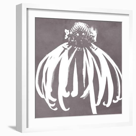 Cone Flower-Color Bakery-Framed Giclee Print