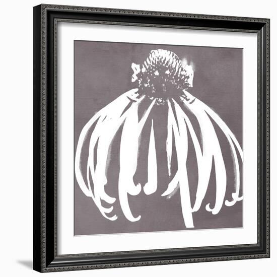 Cone Flower-Color Bakery-Framed Giclee Print