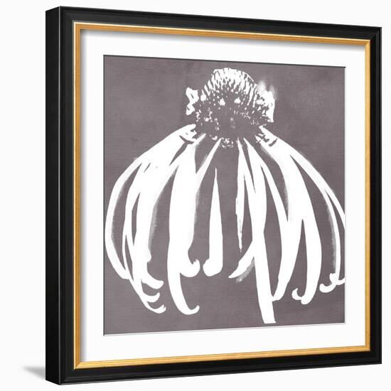 Cone Flower-Color Bakery-Framed Giclee Print