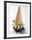 Cone of Nut Ice Cream with Chocolate Sauce-null-Framed Photographic Print