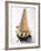 Cone of Nut Ice Cream with Chocolate Sauce-null-Framed Photographic Print