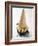 Cone of Nut Ice Cream with Chocolate Sauce-null-Framed Photographic Print